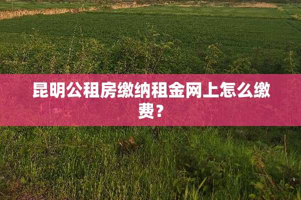 昆明公租房缴纳租金网上怎么缴费？