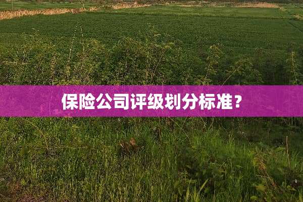保险公司评级划分标准？