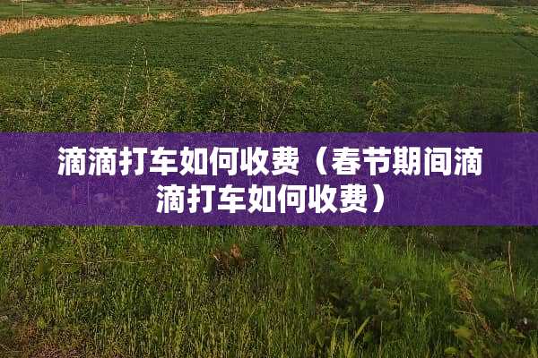 滴滴打车如何收费（春节期间滴滴打车如何收费）