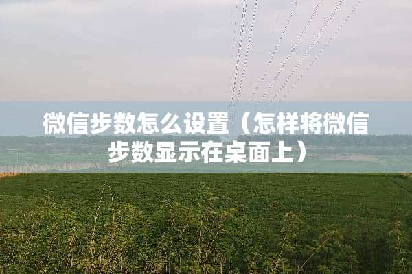 微信步数怎么设置（怎样将微信步数显示在桌面上）