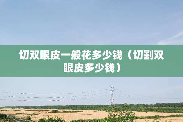 切双眼皮一般花多少钱（切割双眼皮多少钱）