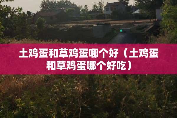 土鸡蛋和草鸡蛋哪个好（土鸡蛋和草鸡蛋哪个好吃）