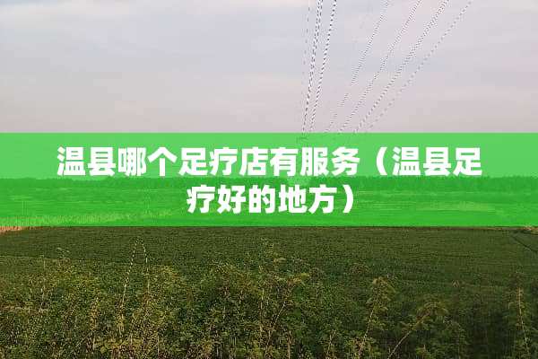 温县哪个足疗店有服务（温县足疗好的地方）