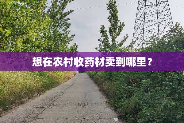 想在农村收药材卖到哪里？