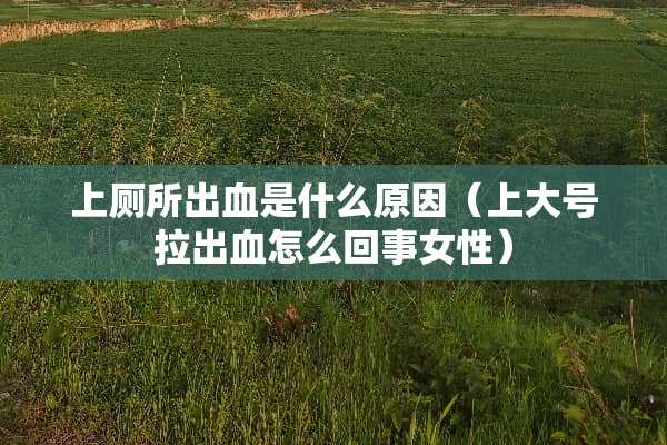 上厕所出血是什么原因（上大号拉出血怎么回事女性）