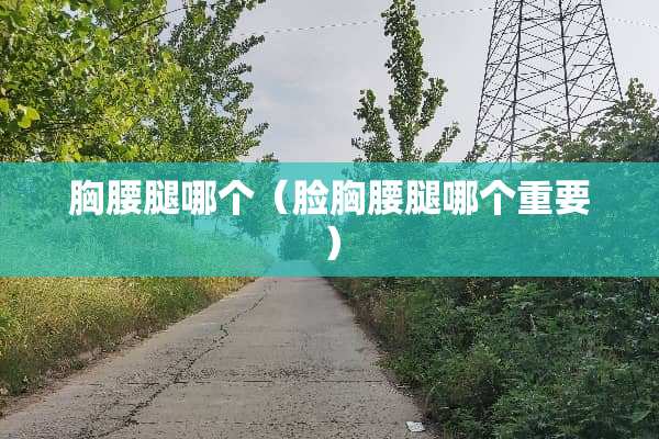 胸腰腿哪个（脸胸腰腿哪个重要）