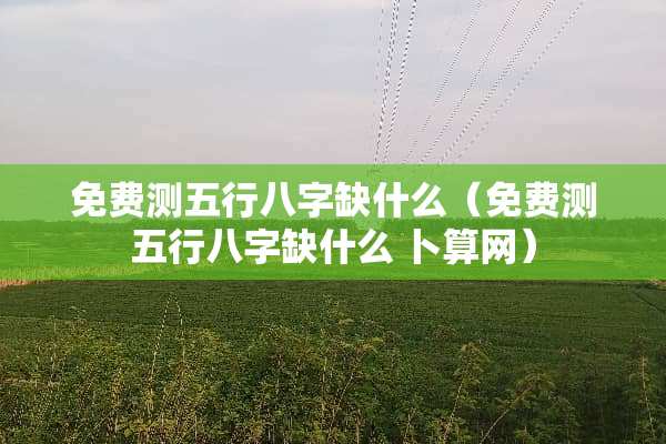 免费测五行八字缺什么（免费测五行八字缺什么 卜算网）