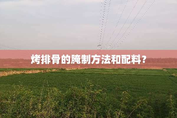 烤排骨的腌制方法和配料？