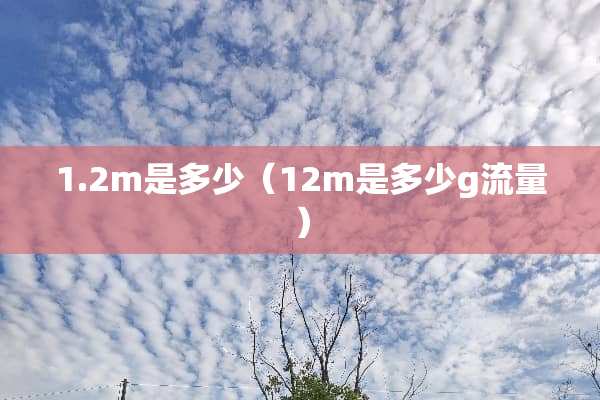 1.2m是多少（12m是多少g流量）