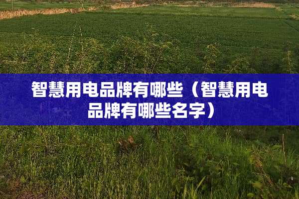 智慧用电品牌有哪些（智慧用电品牌有哪些名字）