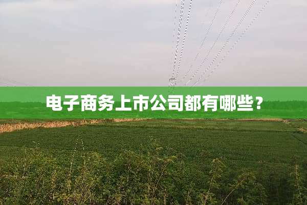 电子商务上市公司都有哪些？