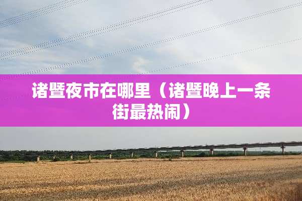 诸暨夜市在哪里（诸暨晚上一条街最热闹）