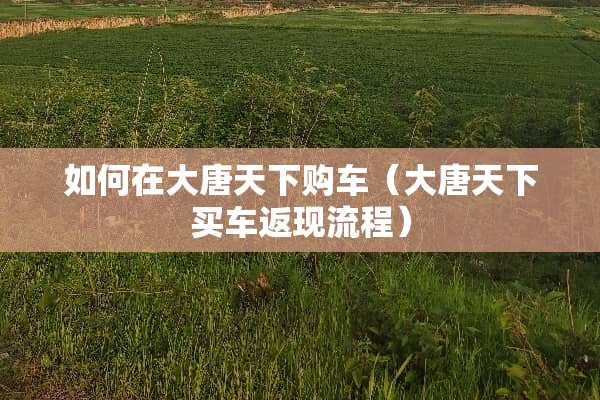 如何在大唐天下购车（大唐天下买车返现流程）
