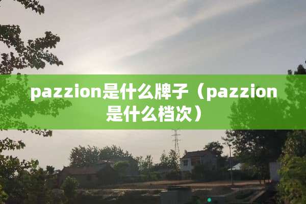 pazzion是什么牌子（pazzion是什么档次）