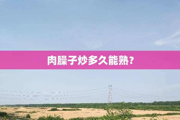 肉臊子炒多久能熟？