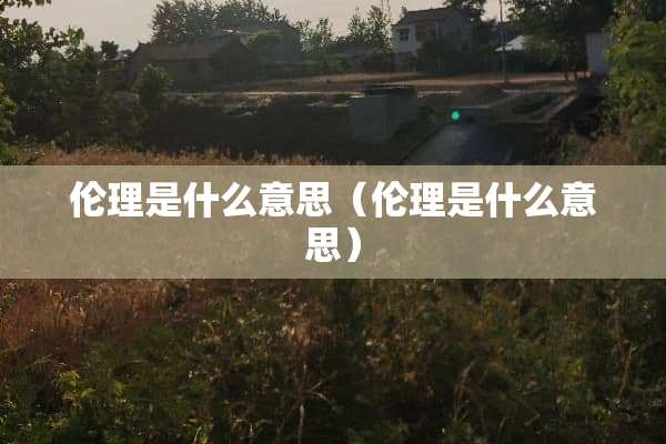 伦理是什么意思（伦理是什么意思）