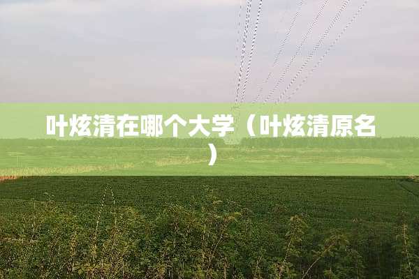 叶炫清在哪个大学（叶炫清原名）