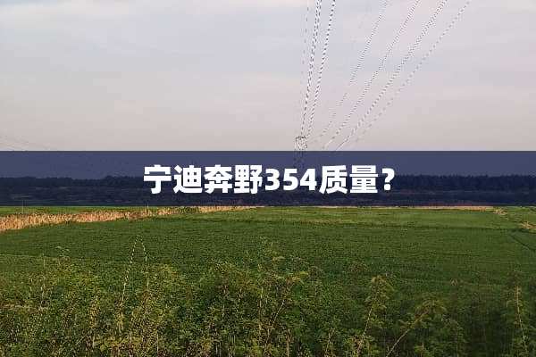 宁迪奔野354质量？