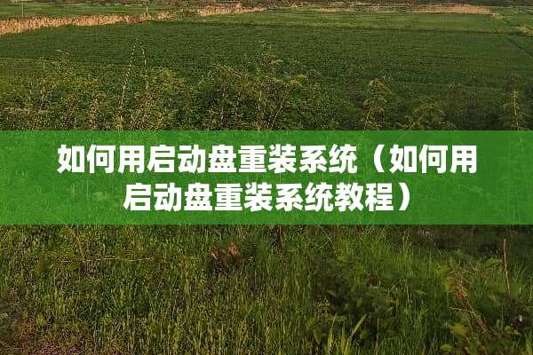 如何用启动盘重装系统（如何用启动盘重装系统教程）