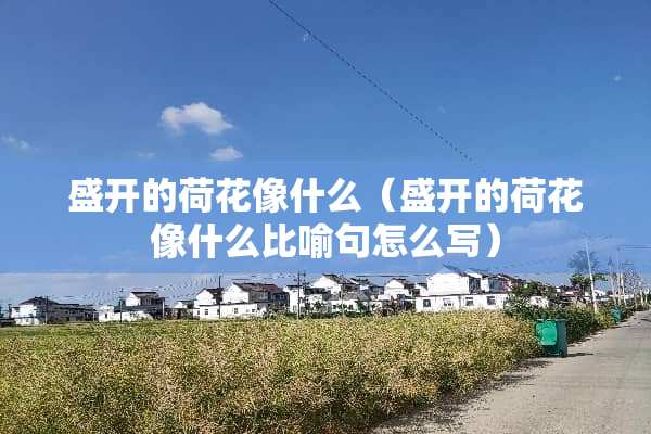 盛开的荷花像什么（盛开的荷花像什么比喻句怎么写）