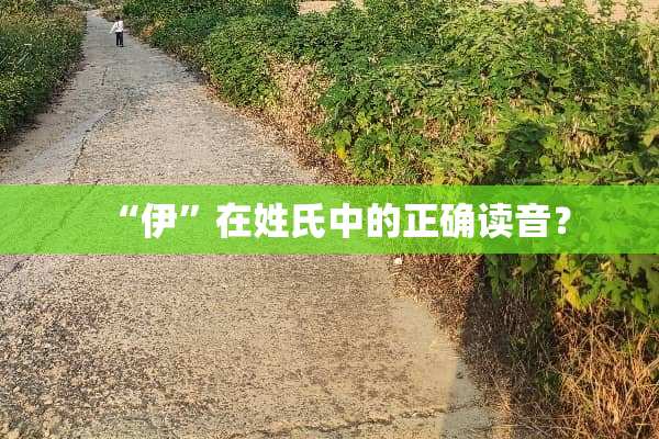 “伊”在姓氏中的正确读音？