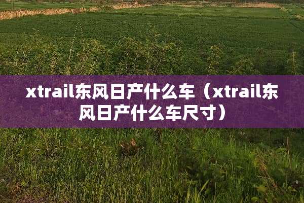 xtrail东风日产什么车（xtrail东风日产什么车尺寸）