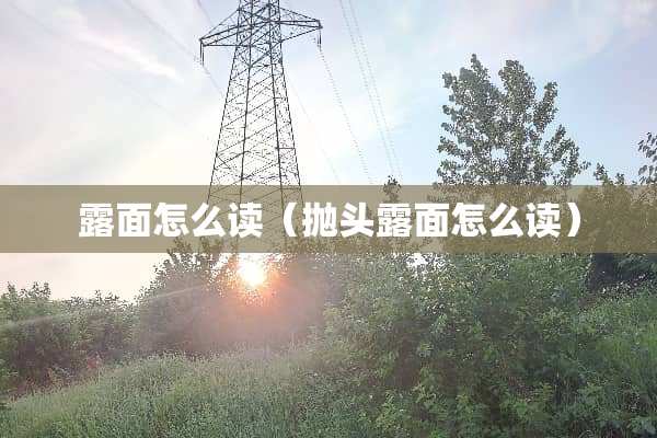 露面怎么读（抛头露面怎么读）