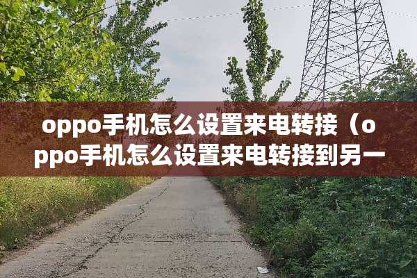 oppo手机怎么设置来电转接（oppo手机怎么设置来电转接到另一个手机号码）