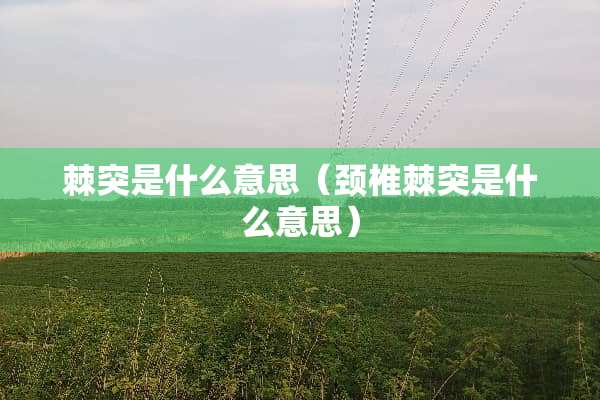 棘突是什么意思（颈椎棘突是什么意思）