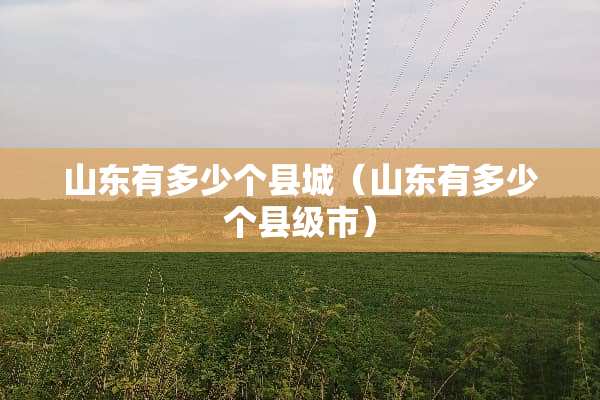 山东有多少个县城（山东有多少个县级市）