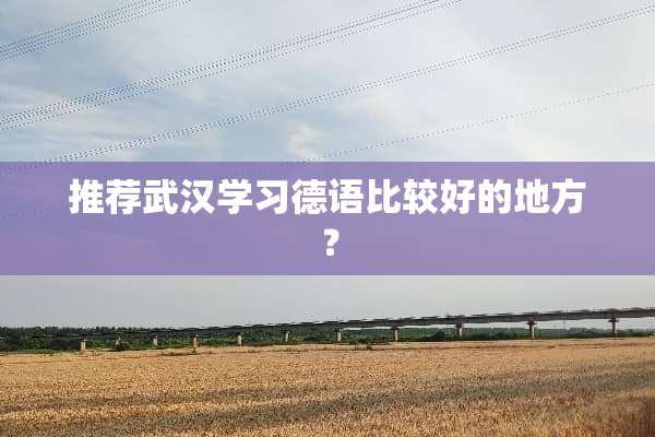 推荐武汉学习德语比较好的地方？