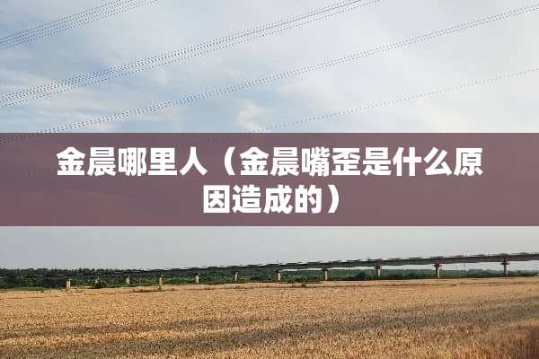 金晨哪里人（金晨嘴歪是什么原因造成的）