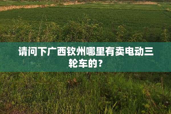 请问下广西钦州哪里有卖电动三轮车的？