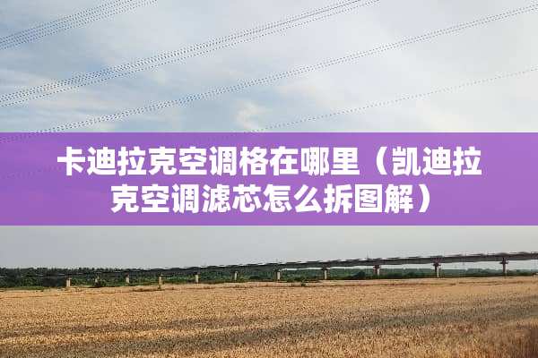 卡迪拉克空调格在哪里（凯迪拉克空调滤芯怎么拆图解）