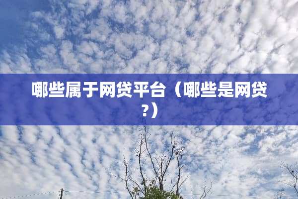 哪些属于网贷平台（哪些是网贷?）