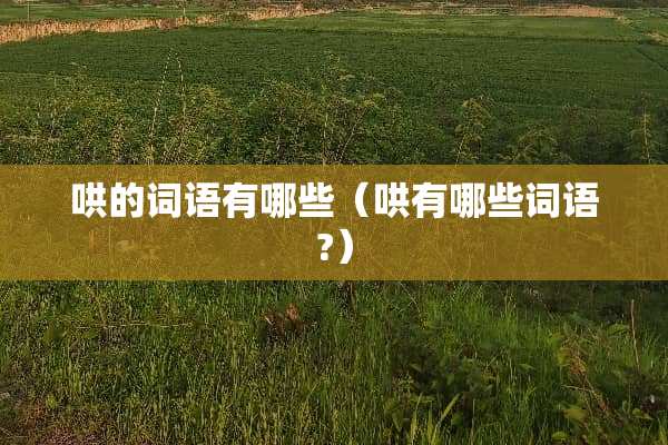 哄的词语有哪些（哄有哪些词语?）