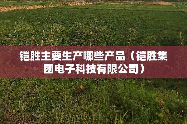 铠胜主要生产哪些产品（铠胜集团电子科技有限公司）