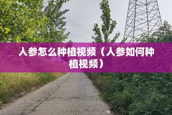 人参怎么种植视频（人参如何种植视频）
