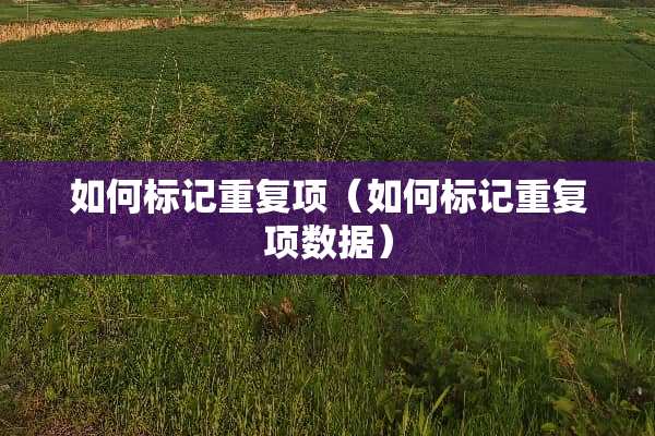 如何标记重复项（如何标记重复项数据）