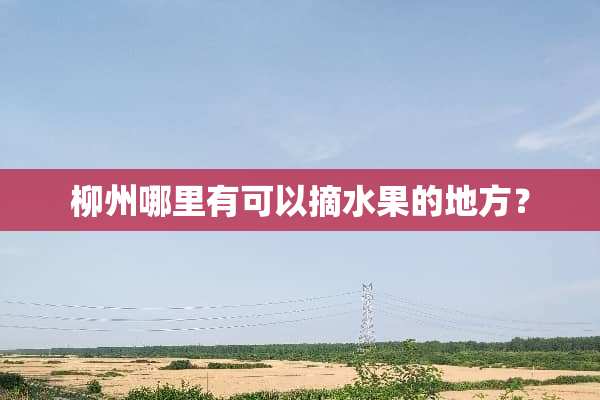 柳州哪里有可以摘水果的地方？