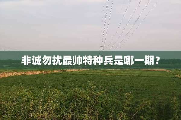非诚勿扰最帅特种兵是哪一期？