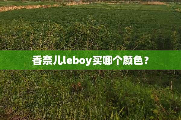 香奈儿leboy买哪个颜色？