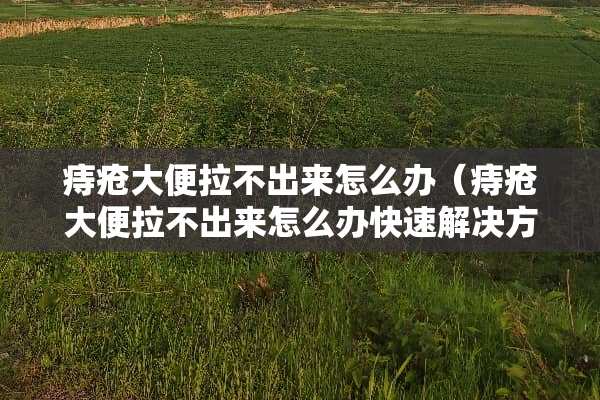 痔疮大便拉不出来怎么办（痔疮大便拉不出来怎么办快速解决方法）
