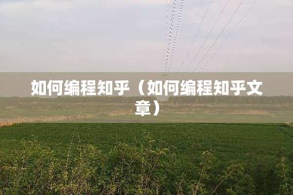 如何编程知乎（如何编程知乎文章）