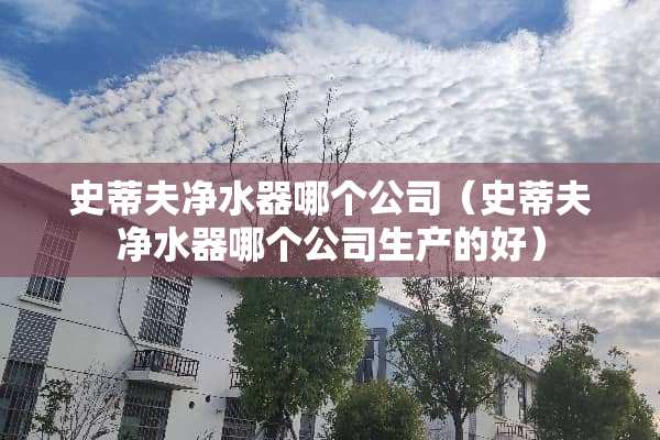 史蒂夫***哪个公司（史蒂夫***哪个公司生产的好）