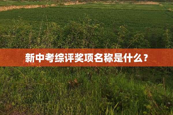 新中考综评奖项名称是什么？