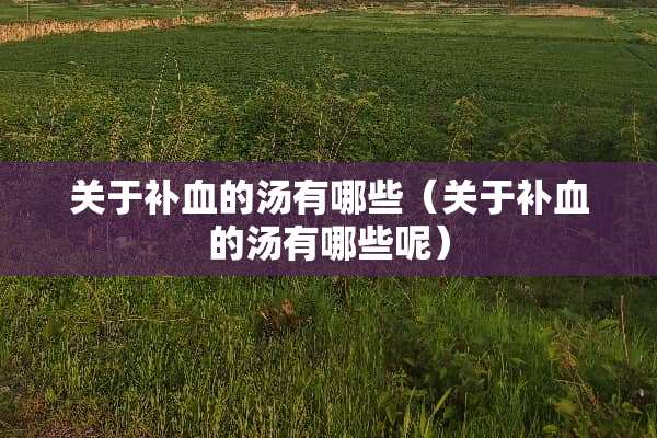 关于补血的汤有哪些（关于补血的汤有哪些呢）