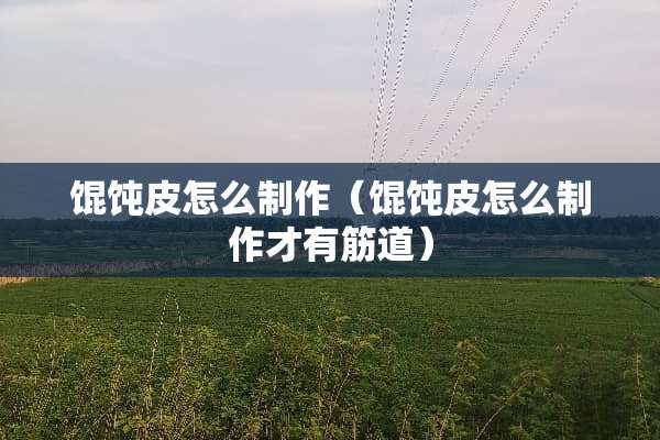 馄饨皮怎么制作（馄饨皮怎么制作才有筋道）