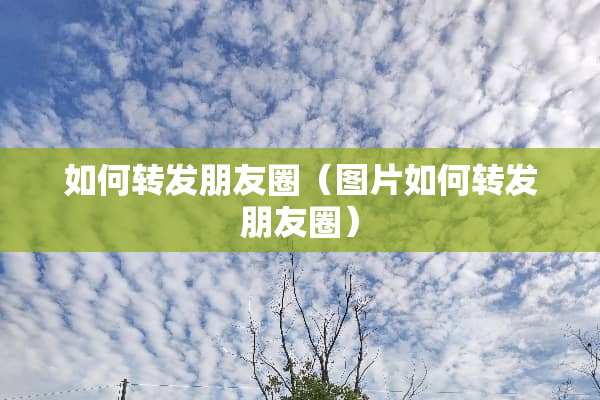 如何转发朋友圈（图片如何转发朋友圈）