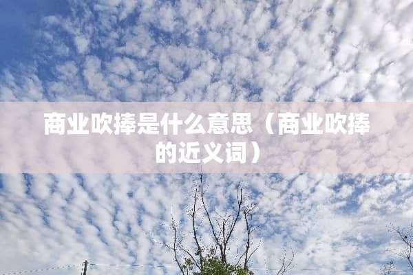 商业吹捧是什么意思（商业吹捧的近义词）